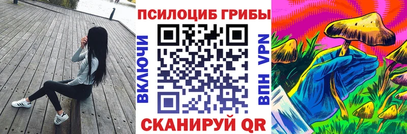Купить закладки  Лихославль  Псилоцибиновые грибы Magic Shrooms 