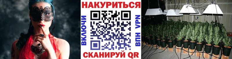 Купить закладки  Лихославль  Каннабис семена 